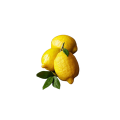 Oud