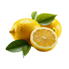 Oud