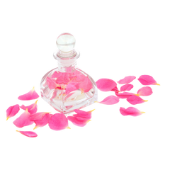 Oud